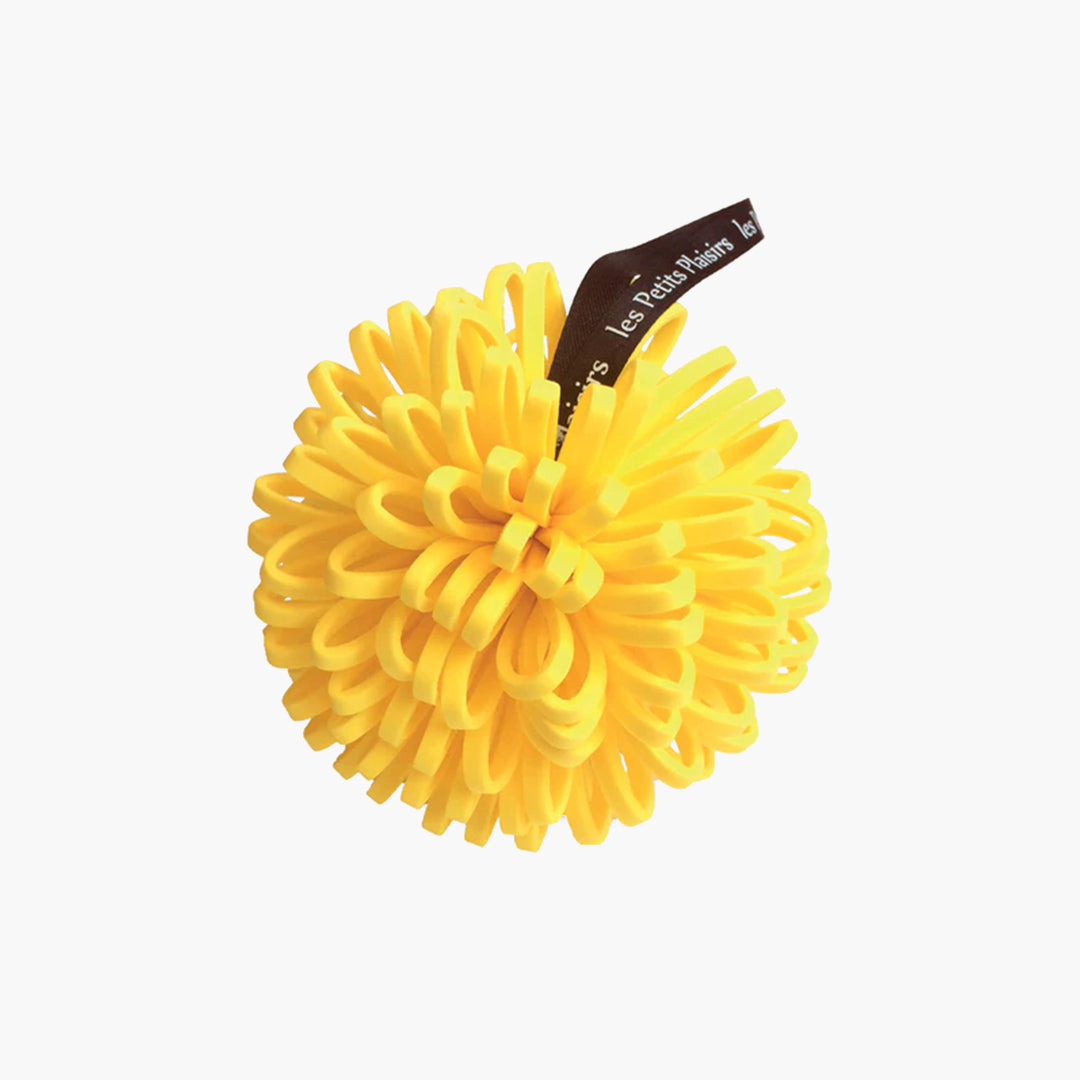 Fleur_de_Douche_Jaune